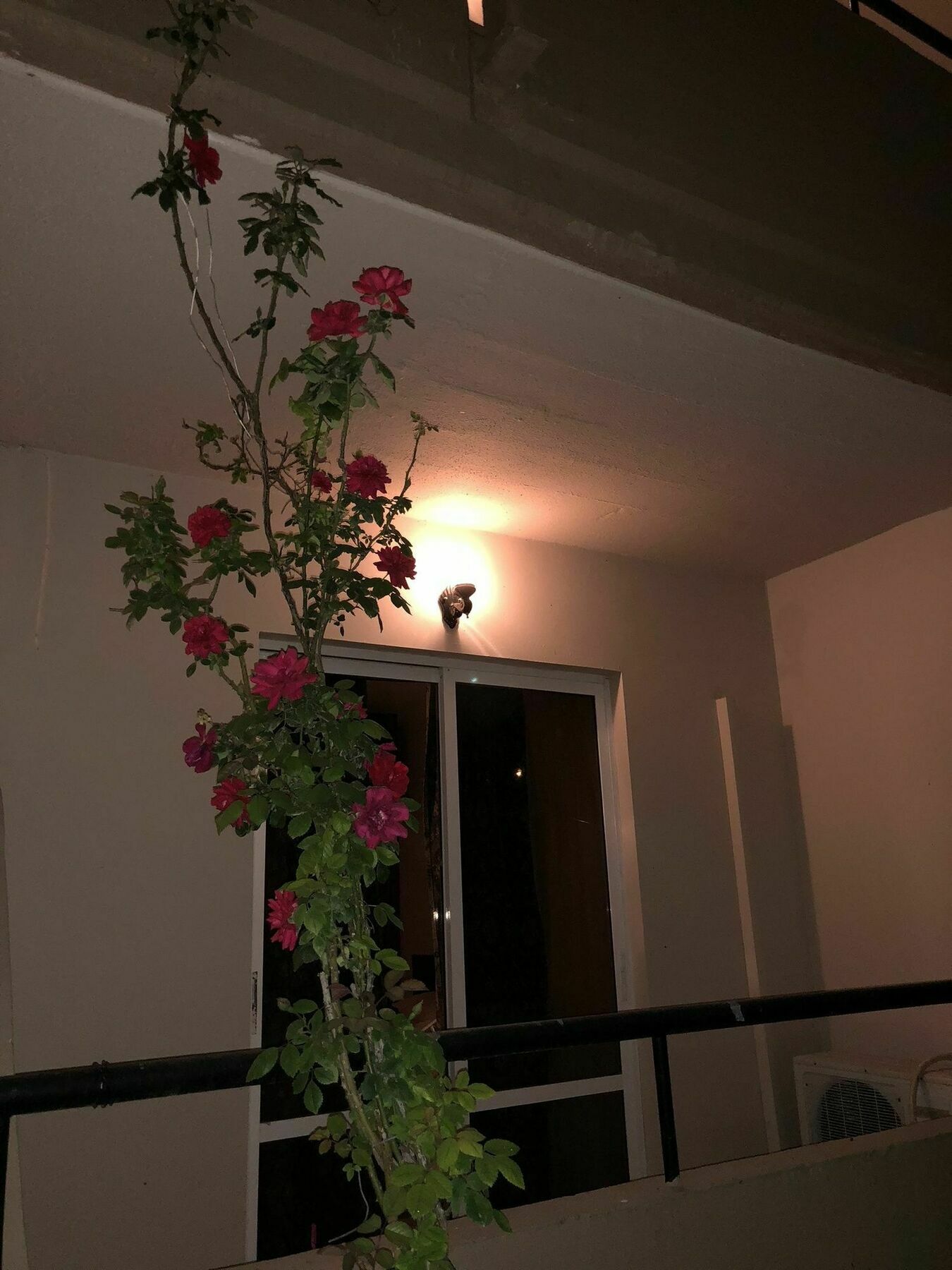 Hotel Jimmy's Garden Faliraki